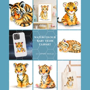 Baby Tiger Watercolour Clipart || PNG & JPG files || Instant Download || Transparent Background || Digital, Print or Sublimation