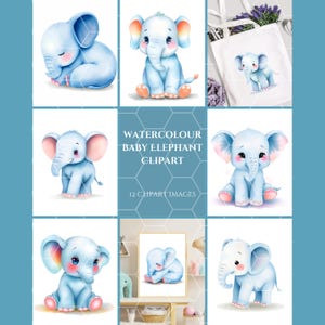Baby Elephant Watercolor Clipart, JPG & Transparent PNG files, Instant Digital Download, Cute Jungle Animal, Whimsical Safari Images