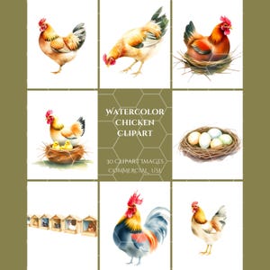 Clipart di pollo ad acquerello, file PNG e JPG di alta qualità, download istantaneo, Cottagecore, simpatica arte da cortile, adesivi per diario, inviti