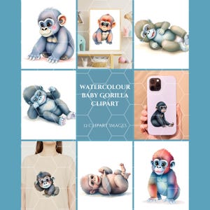 Baby Gorilla Watercolour Clipart || PNG & JPG files || Instant Download || Transparent Background || Digital, Print or Sublimation