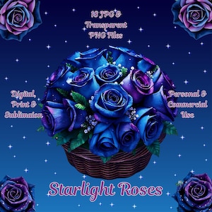 Starlight Roses clipart, diepblauwe tot paarse rozen, 18 JPG-bestanden, 18 transparante PNG-bestanden, Instant Download, Digitaal, Print of Sublimatie