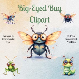 Clipart d'insectes originaux, 10 fichiers JPG, 10 fichiers PNG transparents, téléchargement immédiat, numérique, impression ou sublimation, usage Commercial