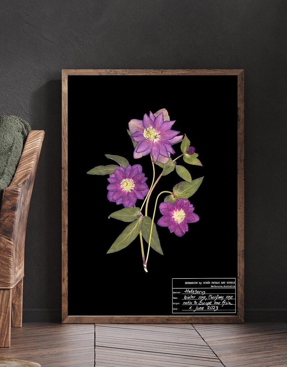 Pressed Flower Frame  Hellebore – Burl Theory