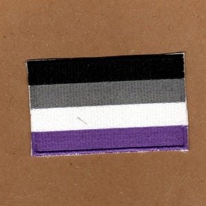 Asexual Flag Patch Flag