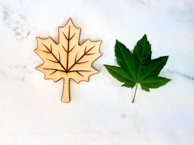 Wooden maple puzzle piece beside a real green maple leaf on a marble surface, showing the laser-engraved vein detail and lifelike lobed shape.