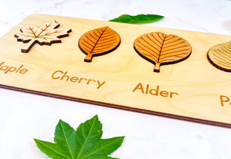 Close-up of the maple, cherry, and alder puzzle pieces in a neutral Baltic birch board, each leaf laser-engraved with realistic veins above its engraved name label.