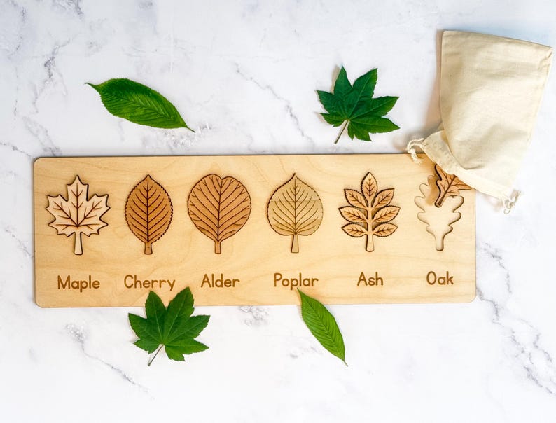 Leaf puzzle with six labeled wooden leaves - maple, cherry, alder, poplar, ash, and oak - the oak piece resting on a muslin bag beside fresh green leaves on marble.