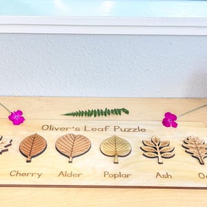 Personalized leaf puzzle on a playroom desk with a fern frond, pink blossoms, wooden rainbow stacker, and abacus, six labeled wooden leaves seated in the board. The wooden leaves are labeled - maple, cherry, alder, poplar, ash, and oak.  Each leaf is laser-engraved with realistic veins above its engraved name label.