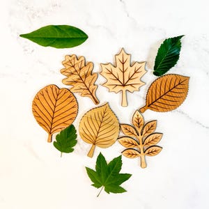 All six leaf puzzle pieces - oak, maple, alder, cherry, poplar, and ash - arranged loose among real green leaves, each cut in a different natural wood tone with engraved veining.