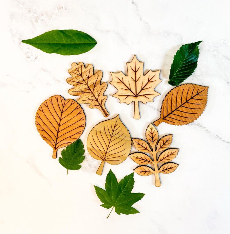 All six leaf puzzle pieces - oak, maple, alder, cherry, poplar, and ash - arranged loose among real green leaves, each cut in a different natural wood tone with engraved veining.