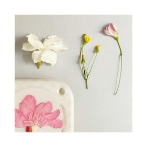 Könnte beinhalten: Drei gepresste Blumen auf weißem Hintergrund. Eine weiße Blume mit fünf Blütenblättern, eine rosa Blume mit fünf Blütenblättern und eine Gruppe gelber Blumen mit grünen Stielen.