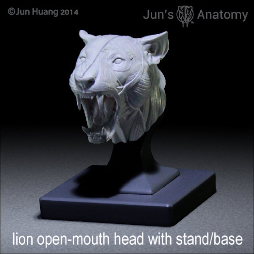 名画　彫刻画　ライオン　LION リアルなライオンの顔の彫刻ファイル：高精細鉛筆画（PNG および