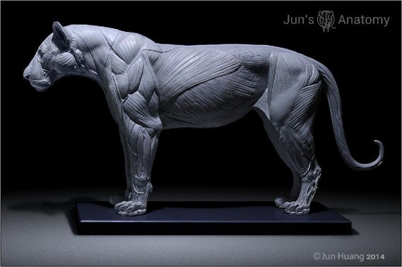 名画　彫刻画　ライオン　LION 嘆きの獅子|オーギュスト・ロダン |所蔵作品検索｜国立西洋美術館