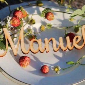 Personalisierte Platzkarten aus Holz, Namensschilder für Hochzeiten, Partydekorationen, Tischdekoration, Einzigartige Namensschilder.