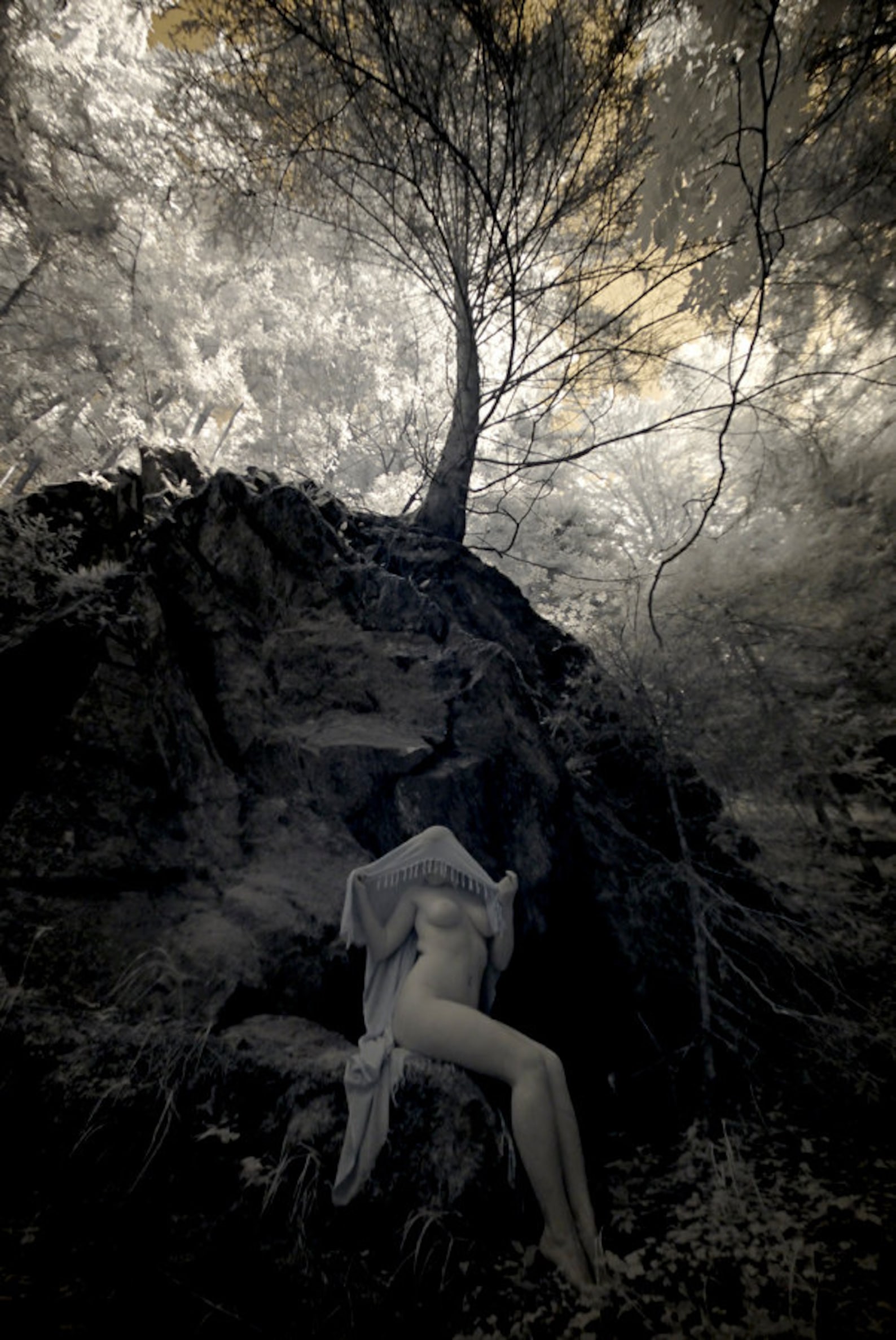 Infrared artistic nude photography naked in nature fine art photo print sen...