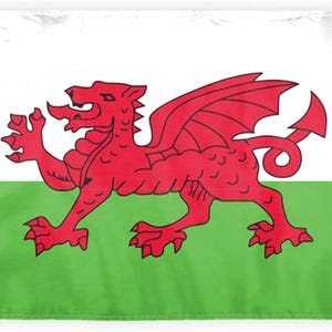 May include: A rectangular flag featuring the Welsh flag design. The flag is divided horizontally, with a white upper section and a green lower section. A red dragon is centered, with its wings spread and its tail curled.