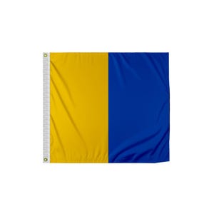 May include: A yellow and blue flag with a vertical split. The left side is yellow and the right side is blue.