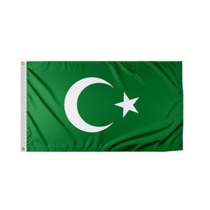 May include: A green flag with a white crescent moon and star in the center.