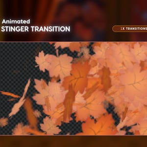 May include: Animated stinger transition featuring falling autumn leaves in shades of orange and peach. The text "Animated Stinger Transition" is displayed in white, with "1X Transitions" in a brown rectangle.
