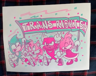 May include: A pink, green, and blue illustration of cartoon characters holding a banner that reads "TRANS RIGHTS".