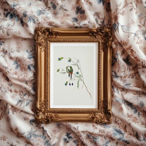 Pair of Hummingbirds on Flowering Branch Vintage Print | Nursery Decor | Modern Farmhouse Art | Print on Demand | Bird Illustration