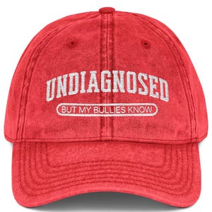 Embroidered Vintage Cap, Undiagnosed Neurodiversity Hat, Retro Embroidery, Gift for Neurodiverse