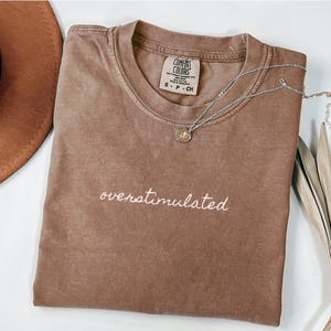 Overstimulated Shirt, Funny Introvert Tee, Gen Z Shirt  Overstimulated Shirt for Mom Mental Health Humor Tee  Weird Stuff Funny TShirt