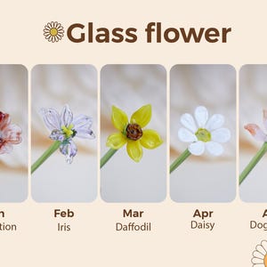 May include: Five glass flower sculptures are displayed, each representing a month: January Carnation, February Iris, March Daffodil, April Daisy, and April Dogwood. The flowers are on green stems, with the text "Glass flower" at the top.