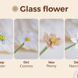 May include: Image of four glass flower designs: Aster, Cosmos, Peony, and Narcissus. Each flower is on a green stem, with the flower heads in clear, white, and peach tones. The text "Glass flower" is at the top.