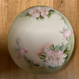 Vintage Collectible Hand Painted Decorative Plate