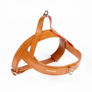 Könnte beinhalten: Ein braunes Lederhundgeschirr mit einer silbernen Schnalle und einem silbernen Ring. Das Geschirr trägt den Schriftzug "SANTILURBANI".