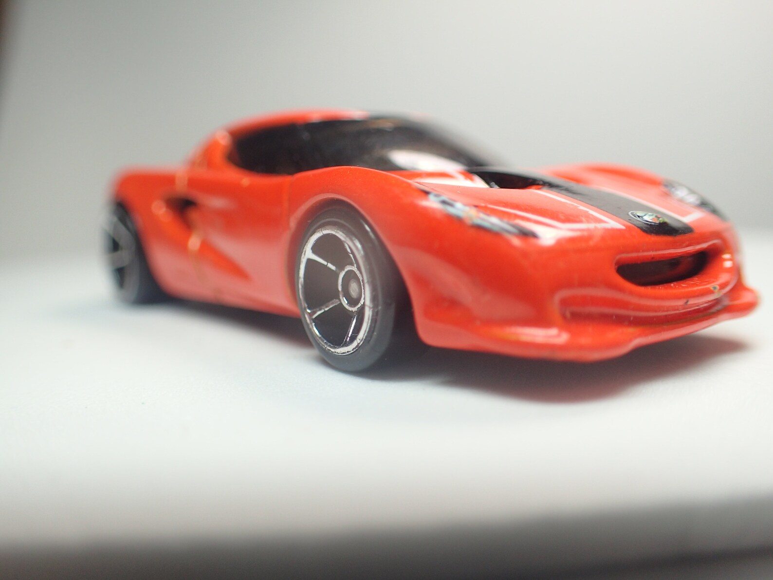 Lotus project кейтеринг