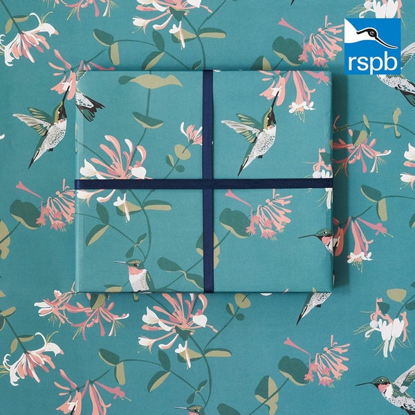 RSPB hummingbird teal wrapping paper with honeysuckle and ruby throated hummingbirds in teal