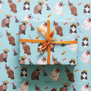 May include: Blue wrapping paper with a repeating pattern of cats wearing party hats, glasses, and sombreros. The cats are in various poses and colors, including black, white, brown, and gray. A gold ribbon is tied around the paper.