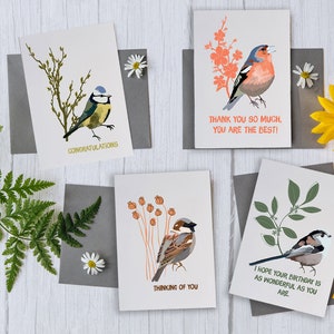 Kartenset mit vier Karten, RSPB-Grußkartenpaket, eine Geburtstagskarte, ein Glückwunsch, eine und eine Dankeskarte