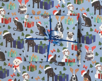 Pets with Christmas presents, gift wrap, king Charles spaniel, cockapoo, bichon frise, siamese cat, french bulldog, spaniel and pug