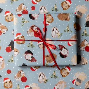 Cavia di Natale indossando cappelli di Babbo Natale nella carta da imballaggio della neve
