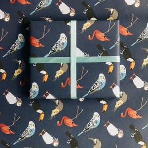 Vogelbeobachter Geschenkverpackung mit Tukan, Wellensittich, Flamingo und Kakadu