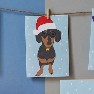 Weihnachten Dackel, Dackel in Nikolausmütze, Mini Dackel