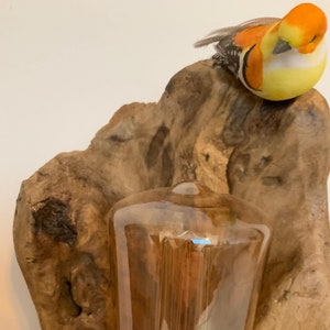 Driftwood lamp with vintage LED bulb