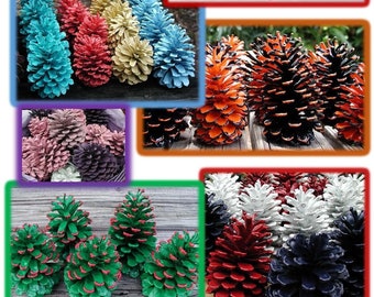 Hand Painted Florida Pinecones, Seasonal Décor Custom Colors, Craft Supplies