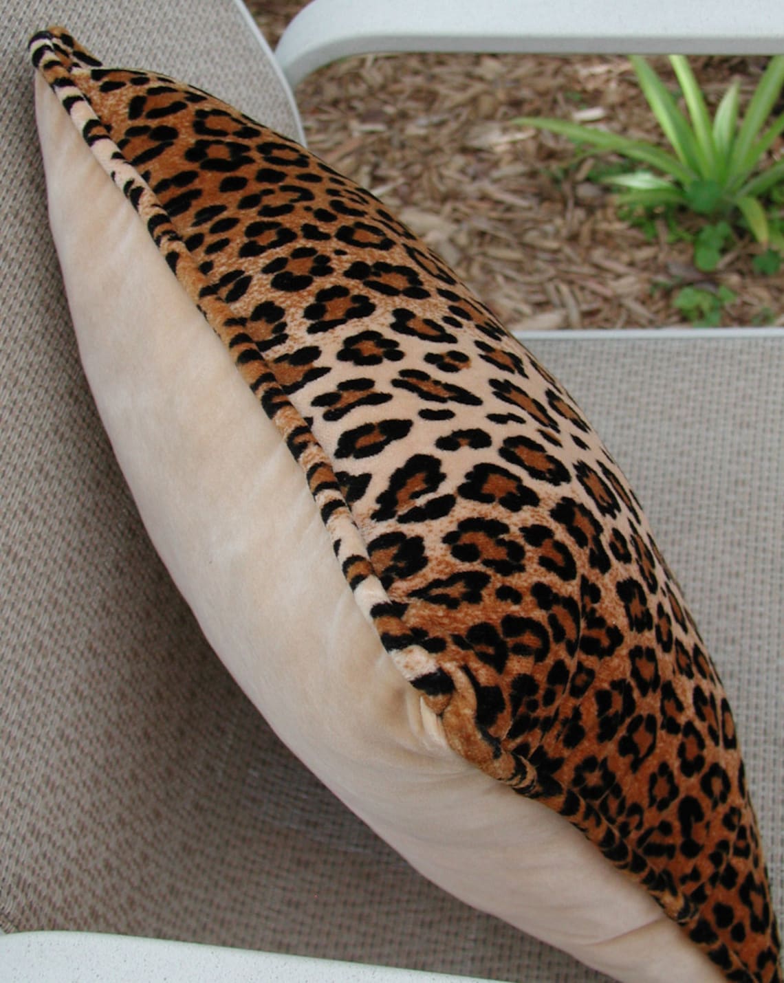 Cheetah Pillow Animal Print Throw Pillow British Velvet Etsy