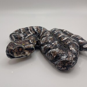 May include: A ceramic snake sculpture with a brown, white, and black mottled pattern. The snake is curled up with its head facing the viewer.