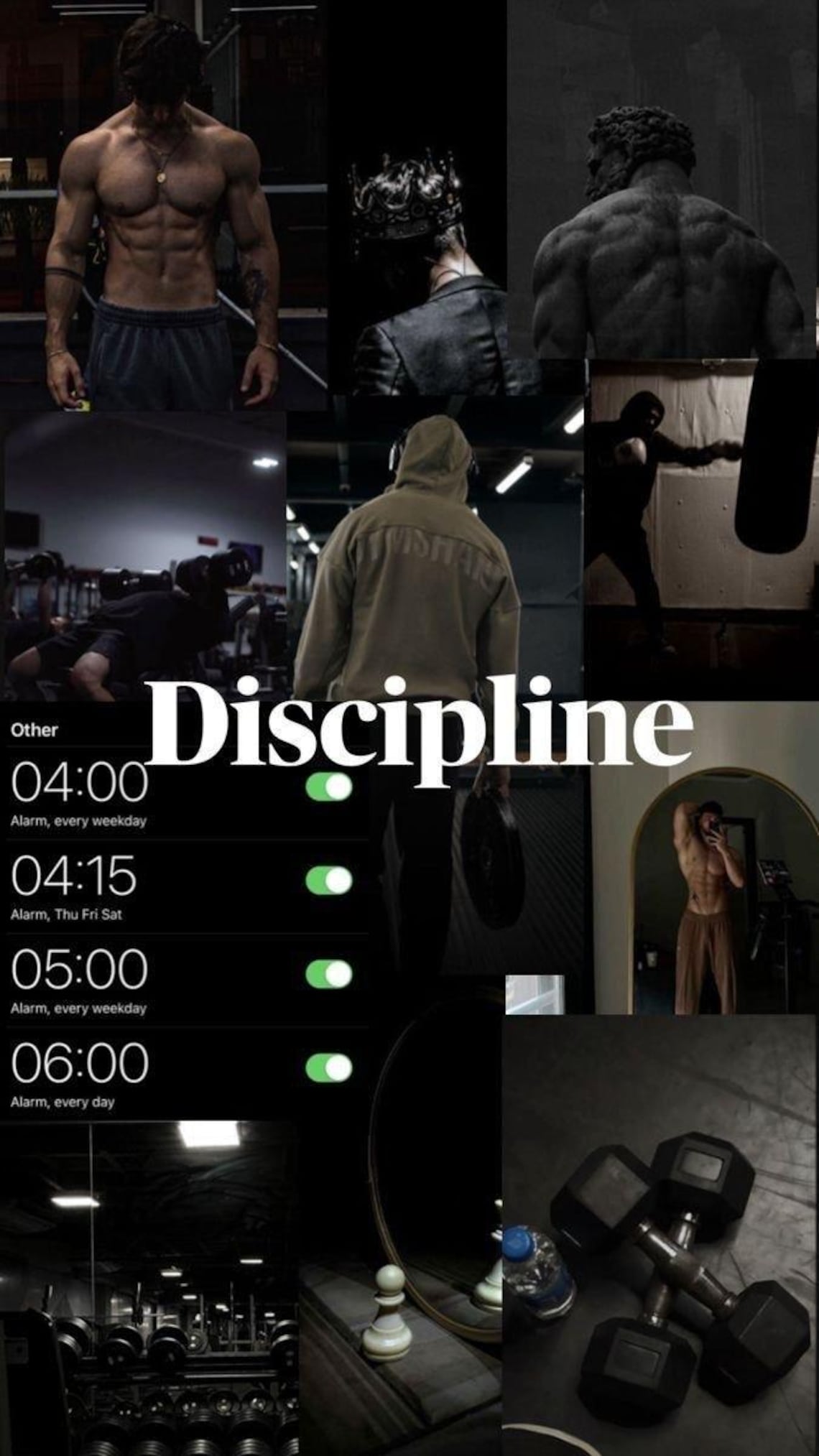 Alpha Discipline Daily Planner | Masculine Productivity Tracker | PDF ...