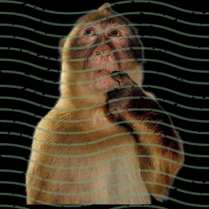 Thinking Monkey Meme PNG Svg, Funny Monkey Brainrot Graphic, Cute ...
