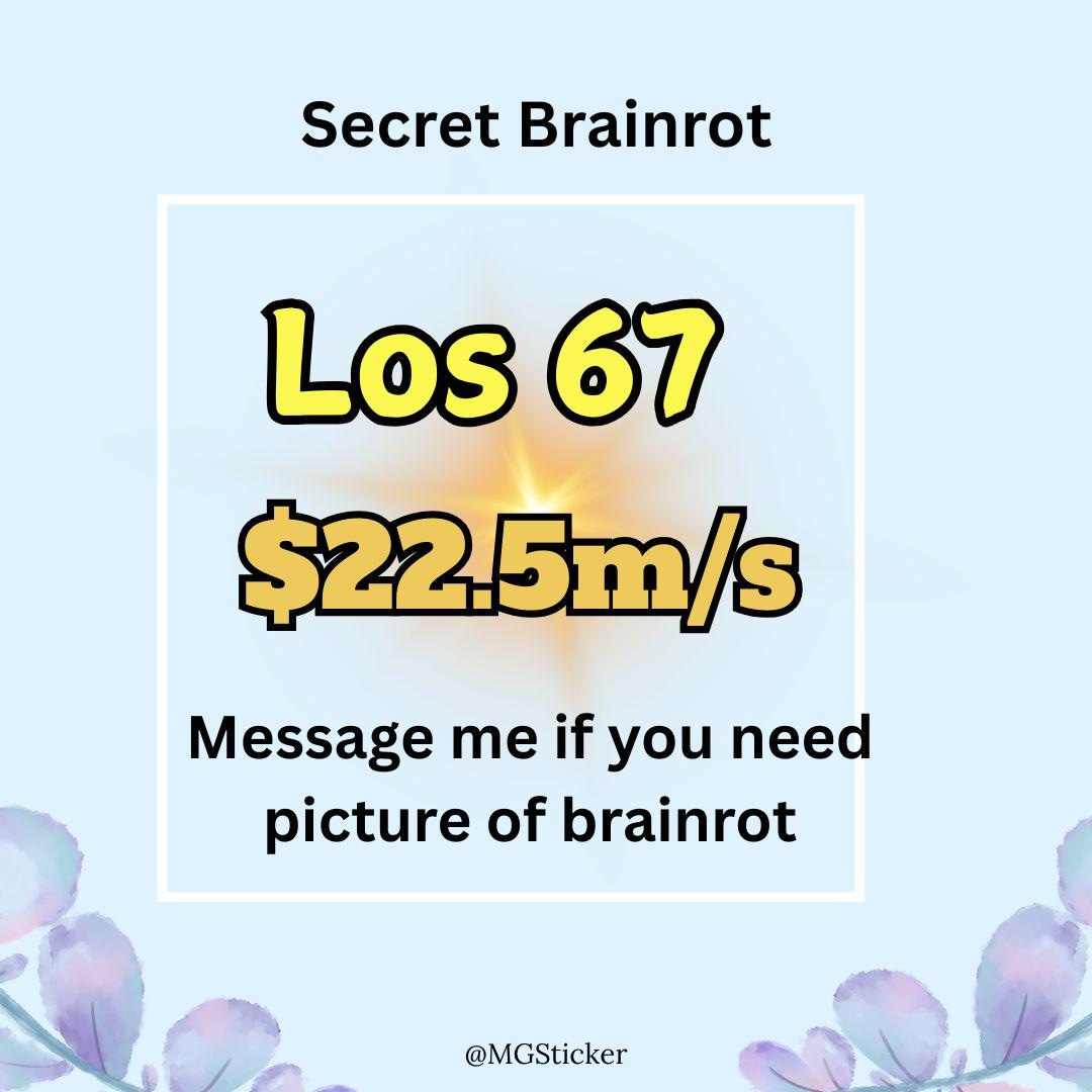 Roblox Steal a Brainrot SAB - Los 67 | 22.5m/s | Secret Brainrot - Etsy ...