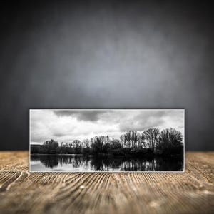 Monochrome Forest Landscape Poster – Black and White Reflection Print
