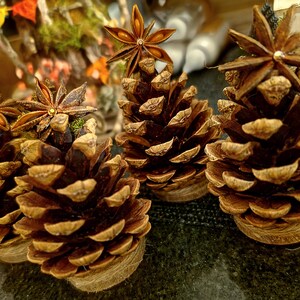 May include: A collection of three brown pinecones, each topped with a single star anise pod. The base of each pinecone is wrapped in natural jute twine, creating a stable foundation for these decorative items arranged in a small cluster.