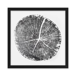 Log Tree Ring Print Framed Sqaure Poster