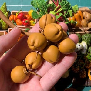 2Pcs Miniature coconut fruit vegetable handmade, doll house, Gift birthday, Gift mom,  Miniatures fruit
